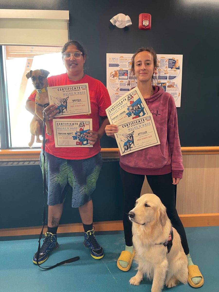 Graduates with certificates alongside their dogs