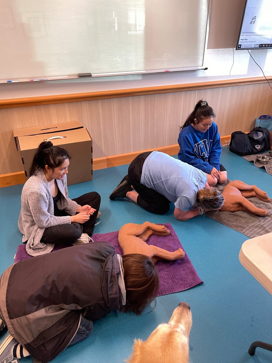 Small group practising rescue positions on the floor