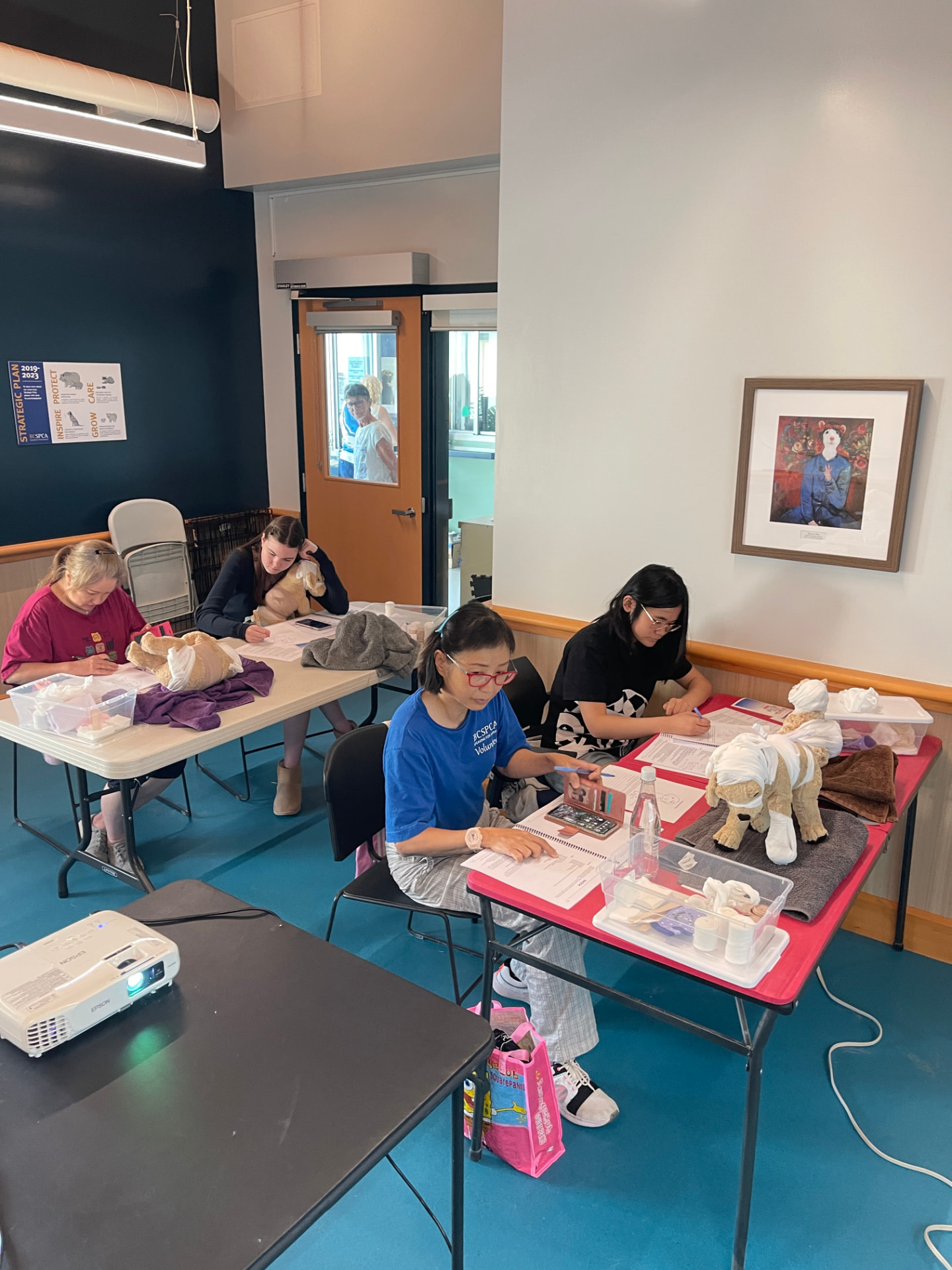 Students practicing pet first aid techniques on stuffed dog models during a Walks 'N' Wags class in Richmond, BC